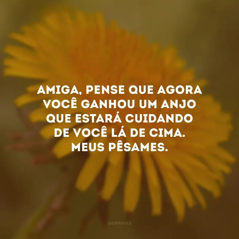Amiga, pense que agora você ganhou um anjo que estará cuidando de você lá de cima. Meus pêsames.