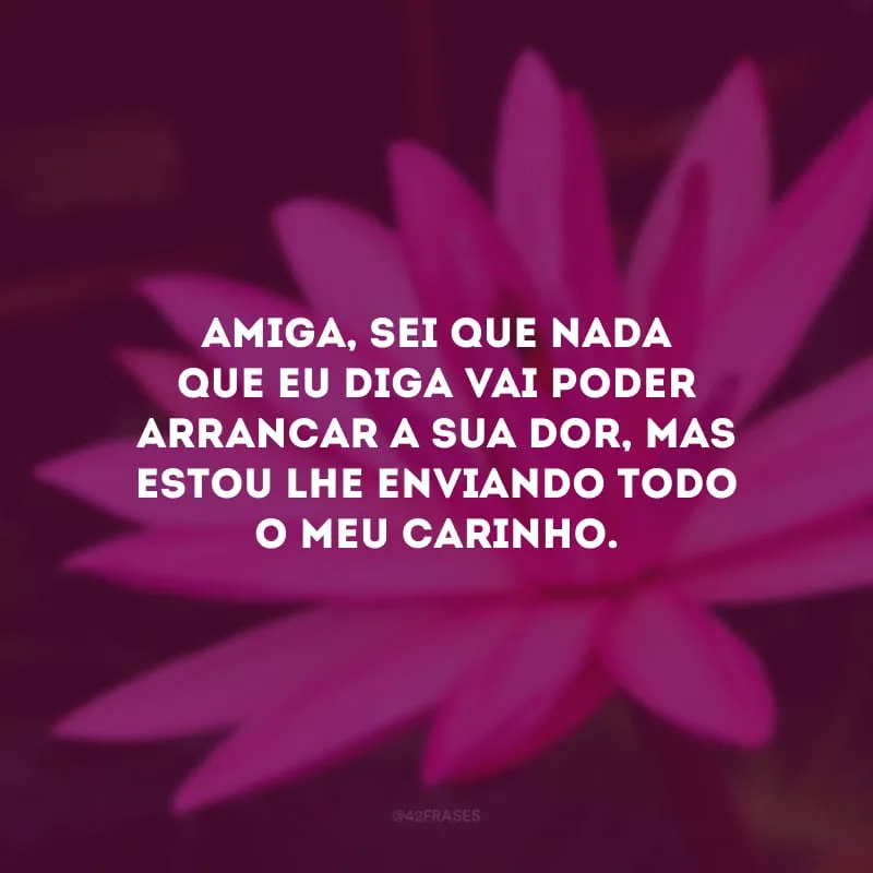 Amiga, sei que nada que eu diga vai poder arrancar a sua dor, mas estou lhe enviando todo o meu carinho.
