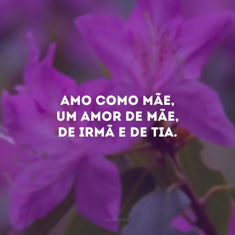 Amo como mãe, um amor de mãe, de irmã e de tia.
