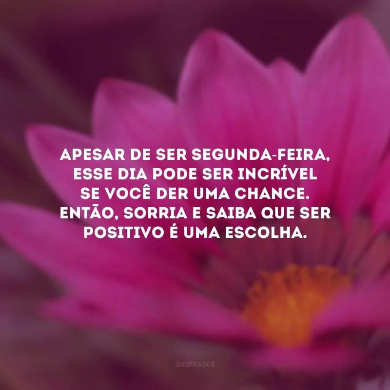 Apesar de ser segunda-feira, esse dia pode ser incrível se você der uma chance. Então, sorria e saiba que ser positivo é uma escolha.