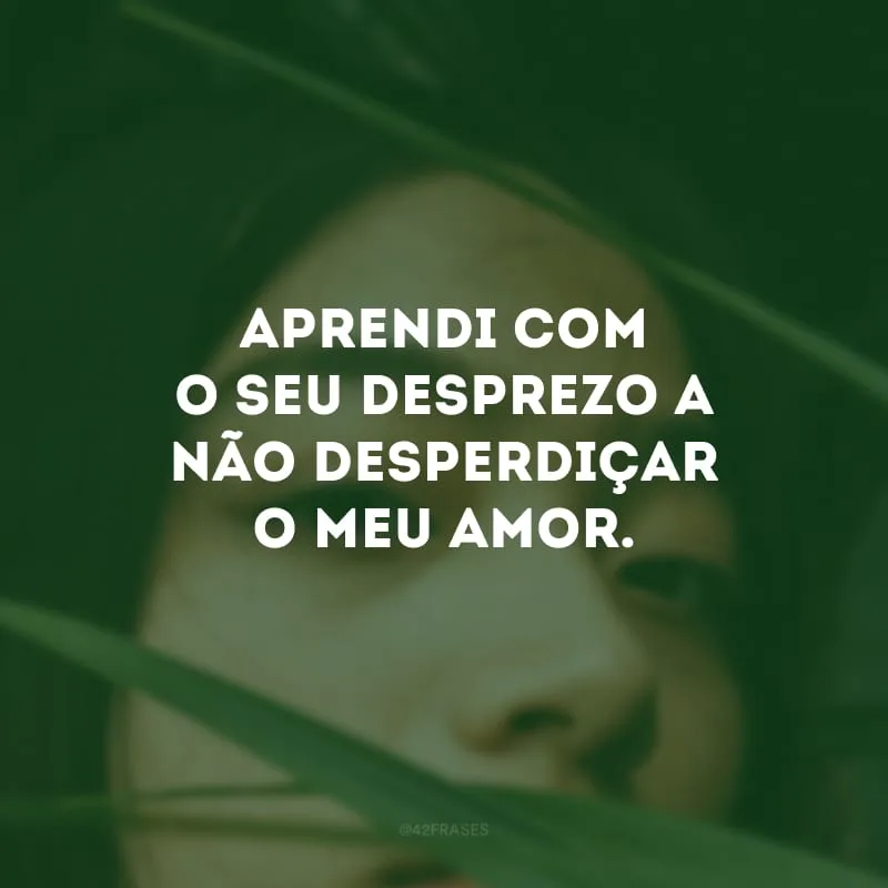 Aprendi com o seu desprezo a não desperdiçar o meu amor.
