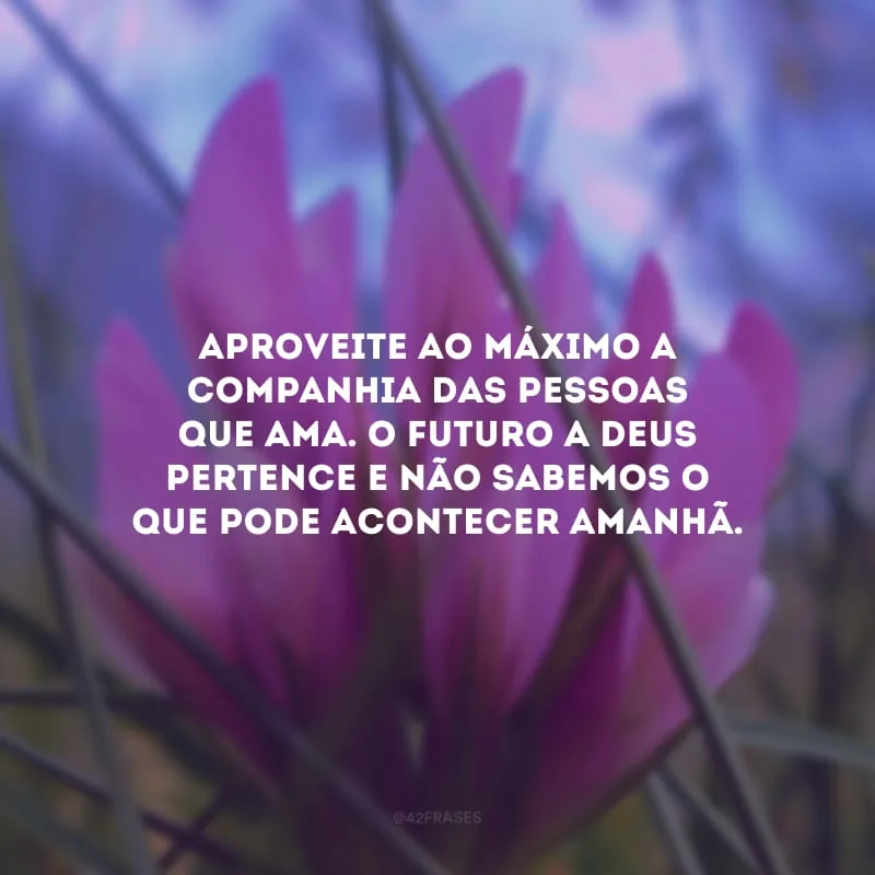 Aproveite ao máximo a companhia das pessoas que ama. O futuro a Deus pertence e não sabemos o que pode acontecer amanhã.