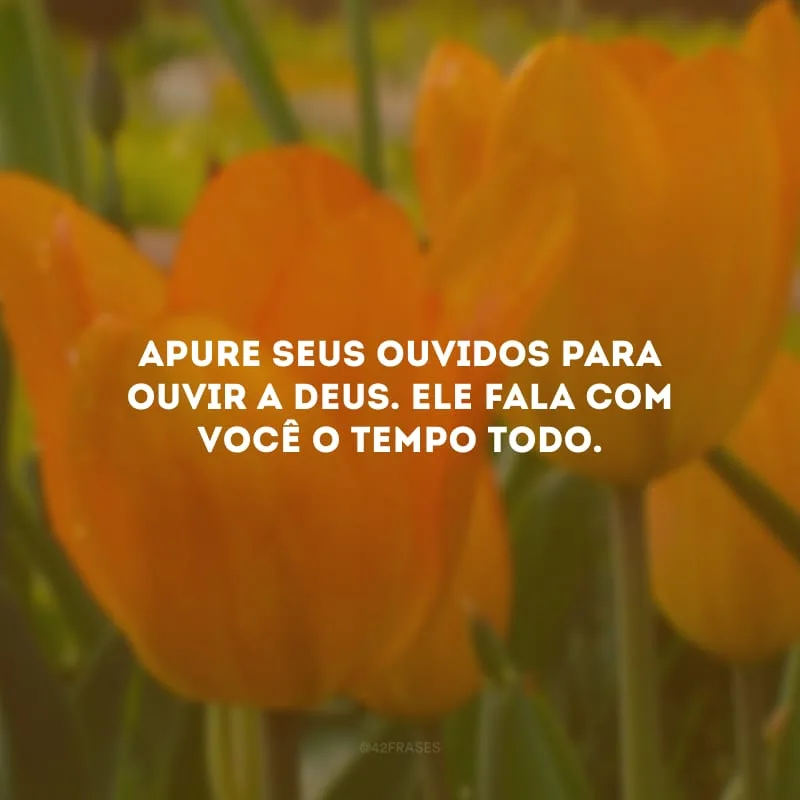Apure seus ouvidos para ouvir a Deus. Ele fala com você o tempo todo.