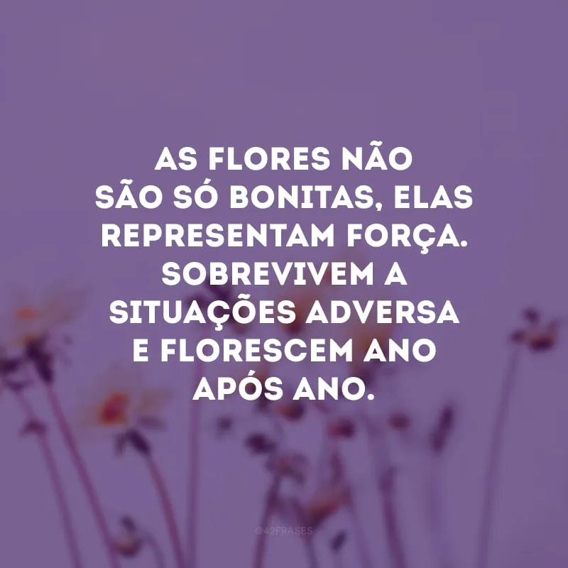 As flores não são só bonitas, elas representam força. Sobrevivem a situações adversa e florescem ano após ano.