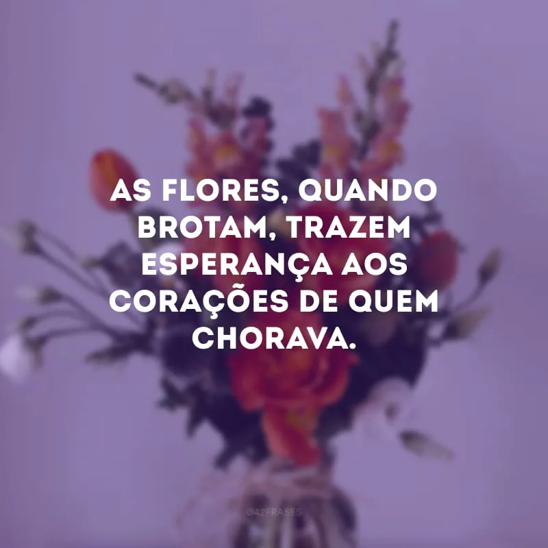 As flores, quando brotam, trazem esperança aos corações de quem chorava.