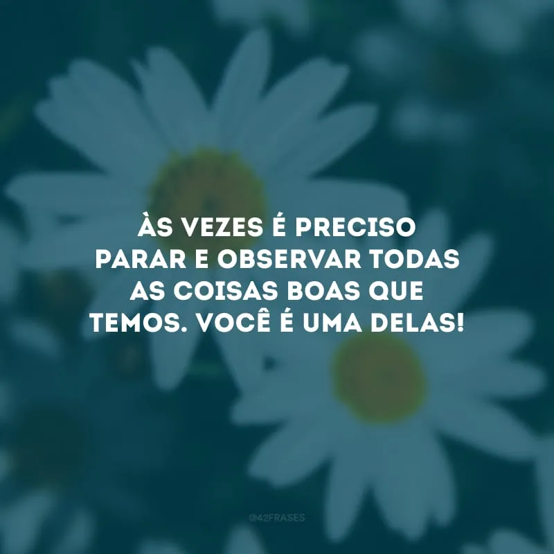 Às vezes é preciso parar e observar todas as coisas boas que temos. Você é uma delas!
