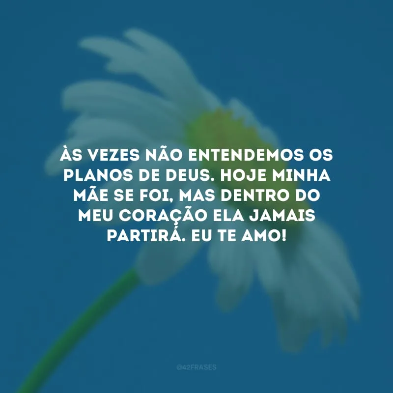 Às vezes não entendemos os planos de Deus. Hoje minha mãe se foi, mas dentro do meu coração ela jamais partirá. Eu te amo!