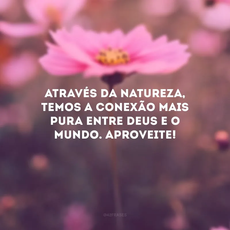 Através da natureza, temos a conexão mais pura entre Deus e o mundo. Aproveite!
