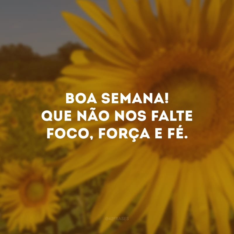 Boa semana! Que não nos falte foco, força e fé. 
