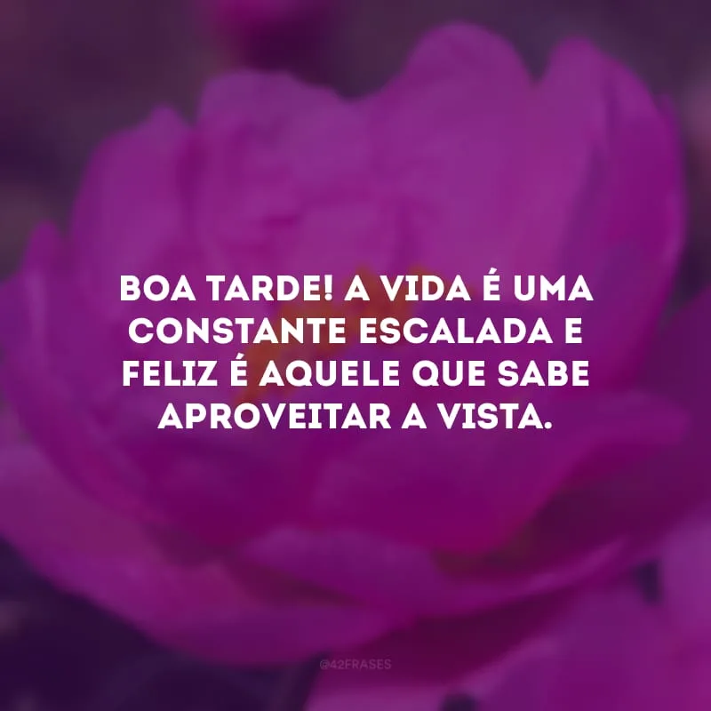 Boa tarde! A vida é uma constante escalada e feliz é aquele que sabe aproveitar a vista. 