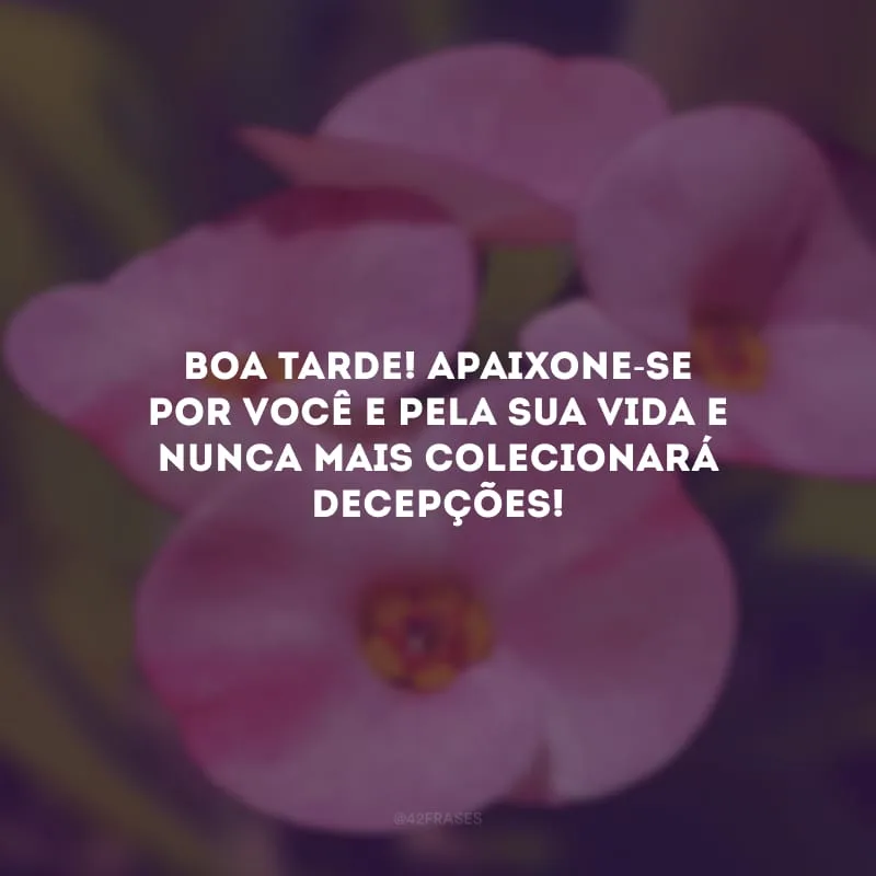 Boa tarde! Apaixone-se por você e pela sua vida e nunca mais colecionará decepções!