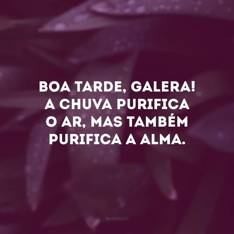Boa tarde, galera! A chuva purifica o ar, mas também purifica a alma. 