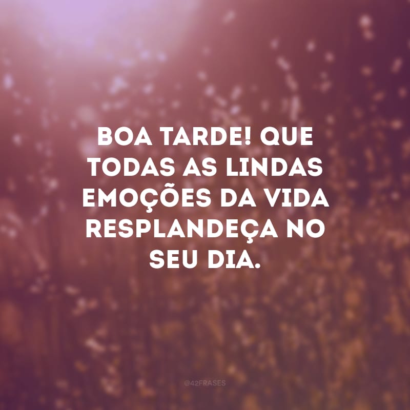 Boa tarde! Que todas as lindas emoções da vida resplandeça no seu dia.