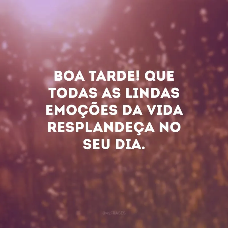 Boa tarde! Que todas as lindas emoções da vida resplandeça no seu dia.