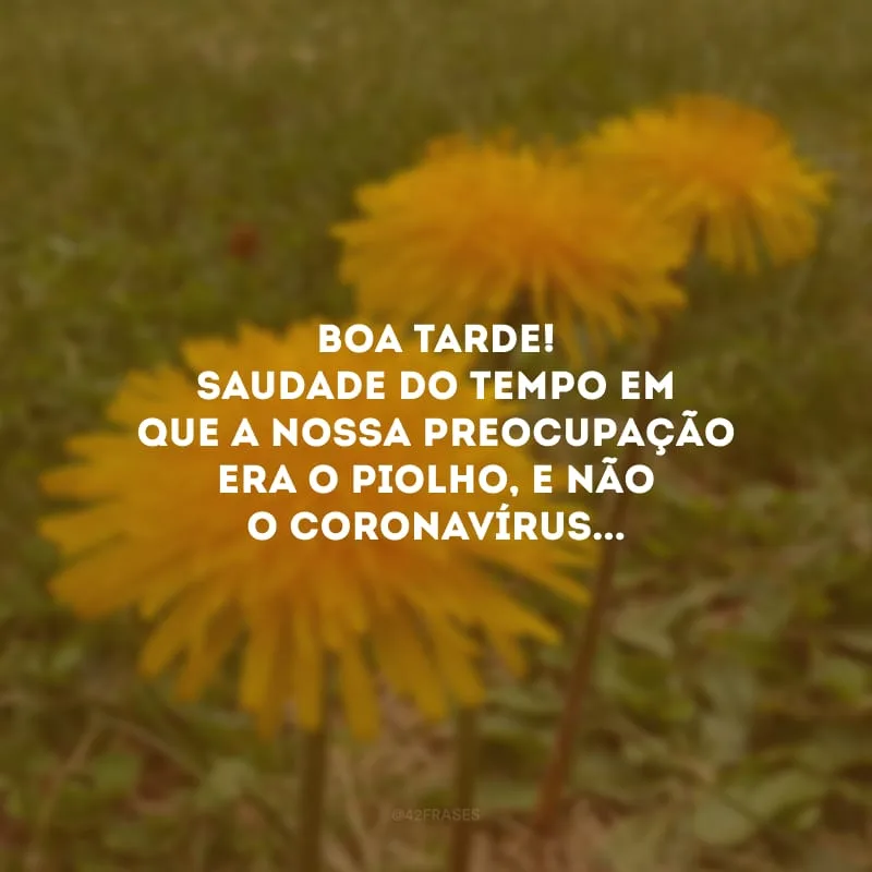 Boa tarde! Saudade do tempo em que a nossa preocupação era o piolho, e não o coronavírus...