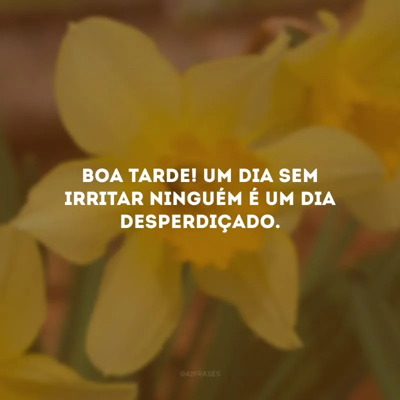 Boa tarde! Um dia sem irritar ninguém é um dia desperdiçado.