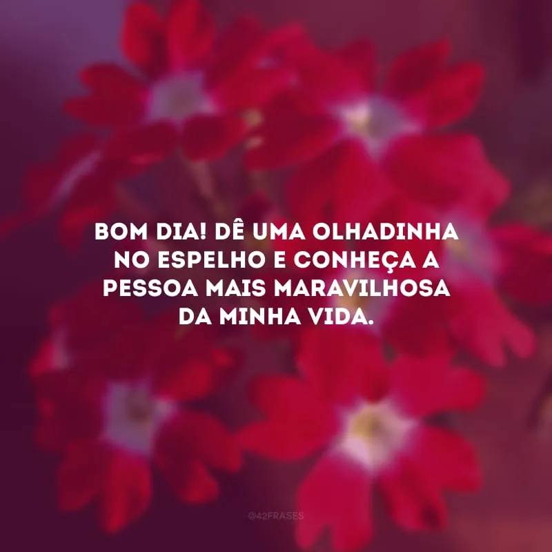 Bom dia! Dê uma olhadinha no espelho e conheça a pessoa mais maravilhosa da minha vida.