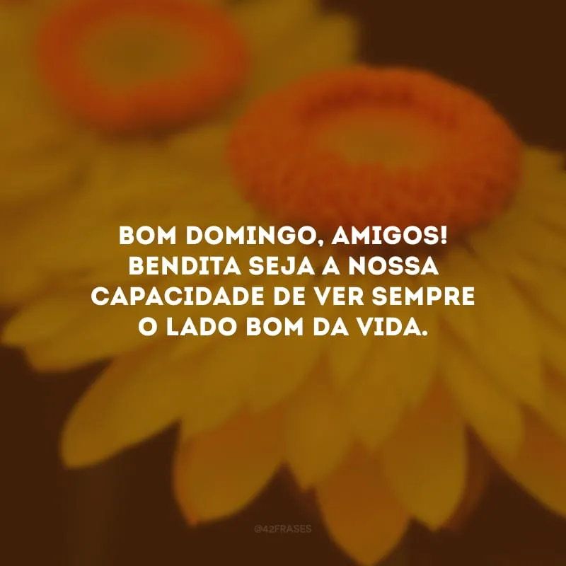Bom domingo, amigos! Bendita seja a nossa capacidade de ver sempre o lado bom da vida.