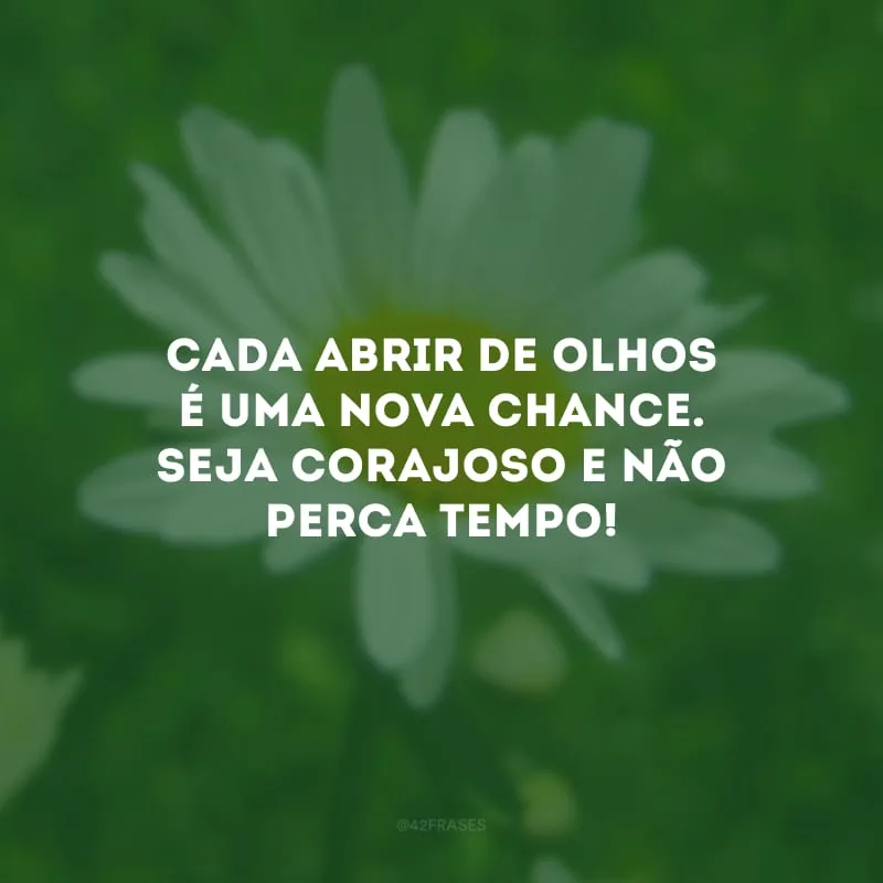 Cada abrir de olhos é uma nova chance. Seja corajoso e não perca tempo!