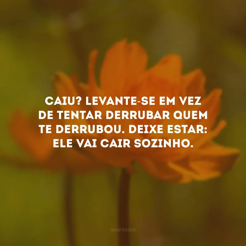 Caiu? Levante-se em vez de tentar derrubar quem te derrubou. Deixe estar: ele vai cair sozinho.