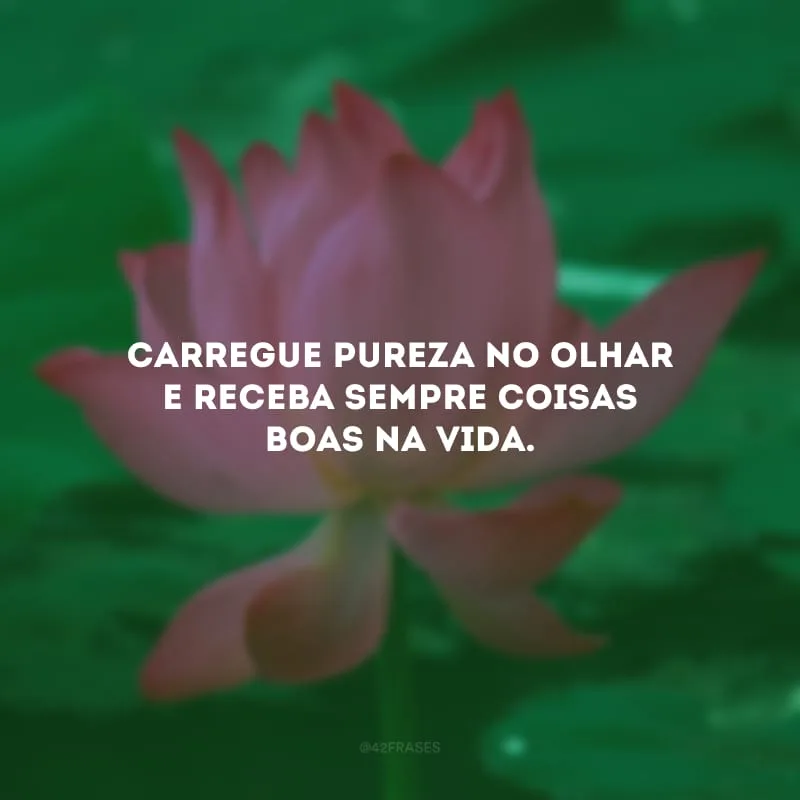 Carregue pureza no olhar e receba sempre coisas boas na vida.