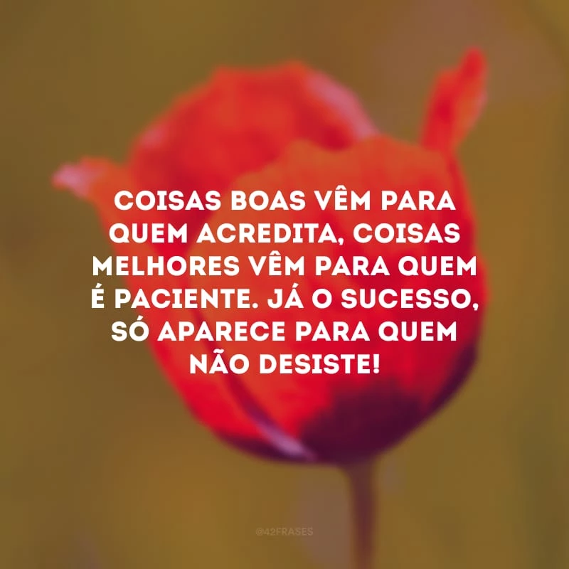 Coisas boas vêm para quem acredita, coisas melhores vêm para quem é paciente. Já o sucesso, só aparece para quem não desiste!
