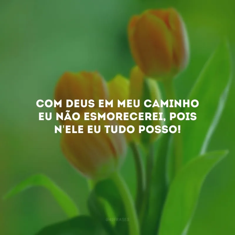 Com Deus em meu caminho eu não esmorecerei, pois n\'Ele eu tudo posso! 