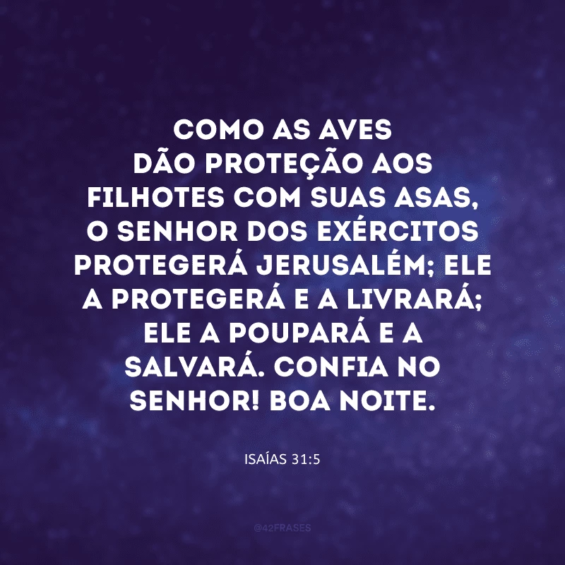 Como as aves dão proteção aos filhotes com suas asas, o Senhor dos Exércitos protegerá Jerusalém; ele a protegerá e a livrará; ele a poupará e a salvará. Confia no senhor! Boa noite. 