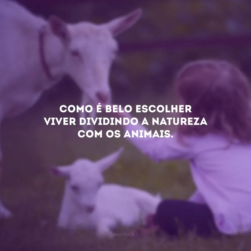 Como é belo escolher viver dividindo a natureza com os animais.