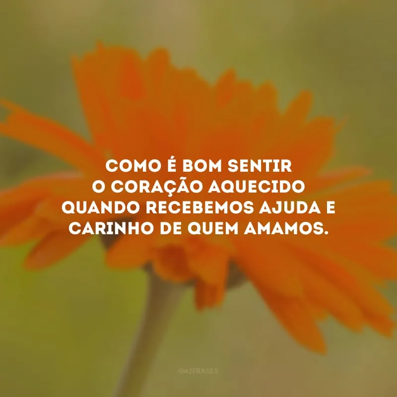 Como é bom sentir o coração aquecido quando recebemos ajuda e carinho de quem amamos. 