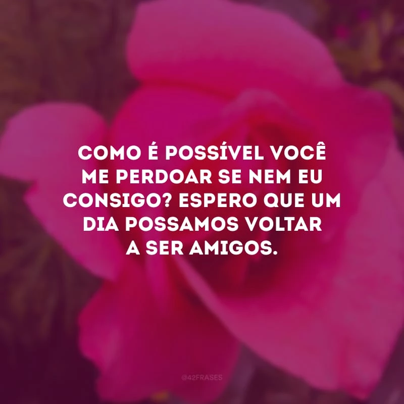 Como é possível você me perdoar se nem eu consigo? Espero que um dia possamos voltar a ser amigos.