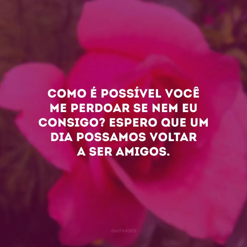 Como é possível você me perdoar se nem eu consigo? Espero que um dia possamos voltar a ser amigos.