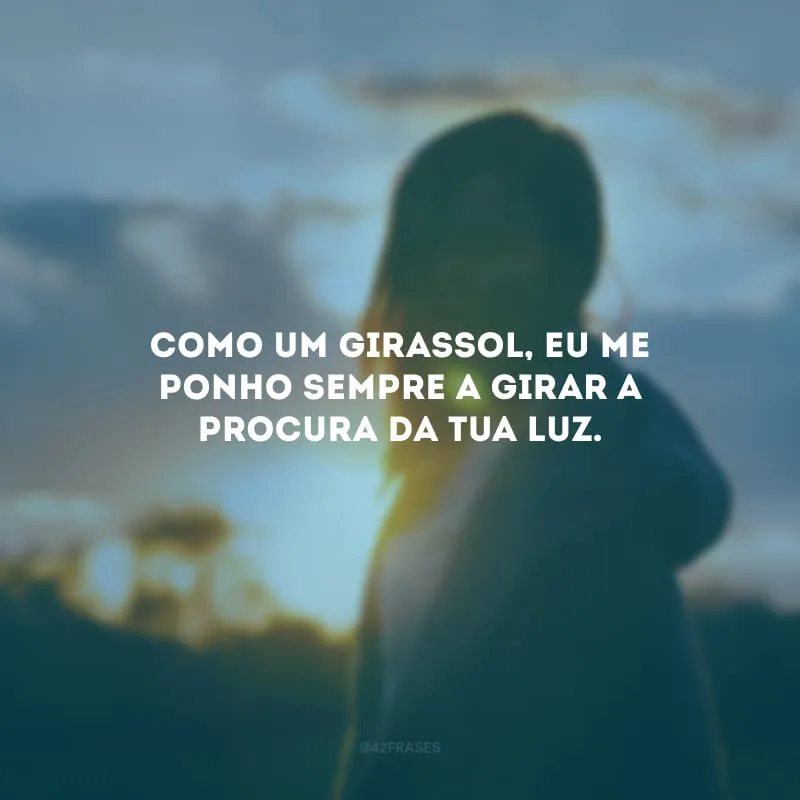 Como um girassol, eu me ponho sempre a girar a procura da tua luz.