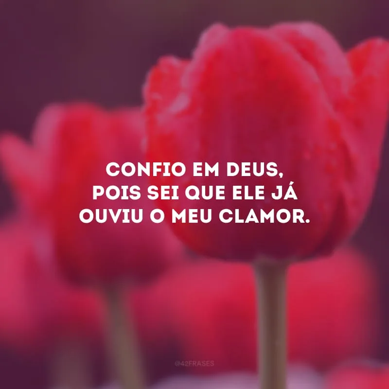 Confio em Deus, pois sei que Ele já ouviu o meu clamor. 