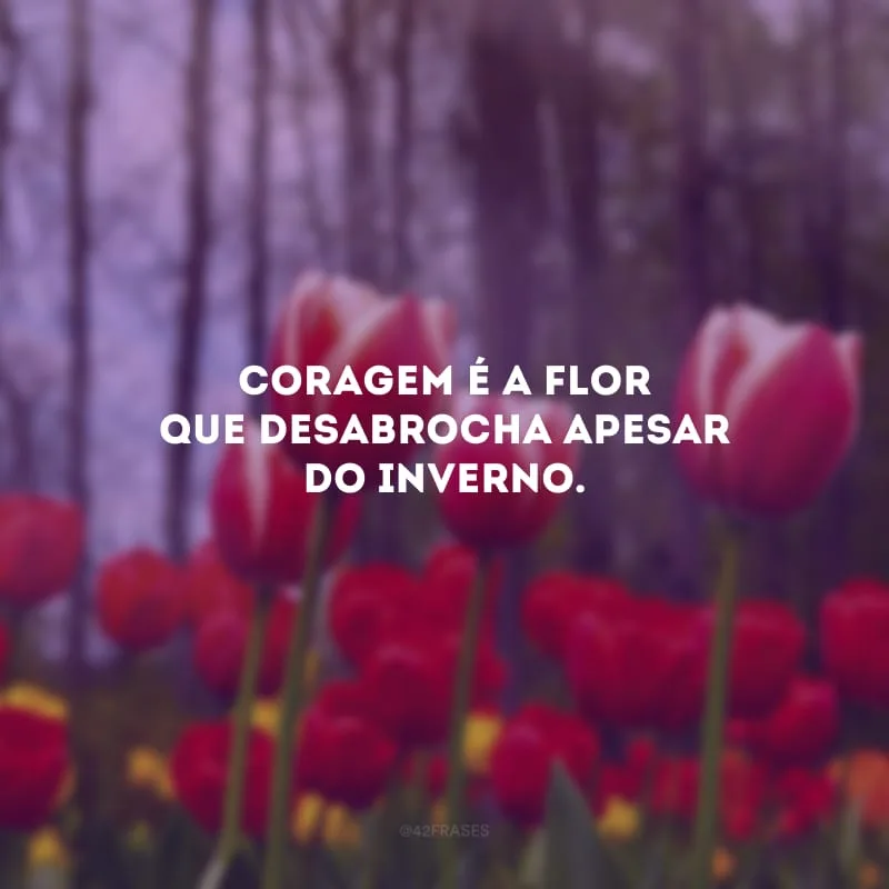 Coragem é a flor que desabrocha apesar do inverno.