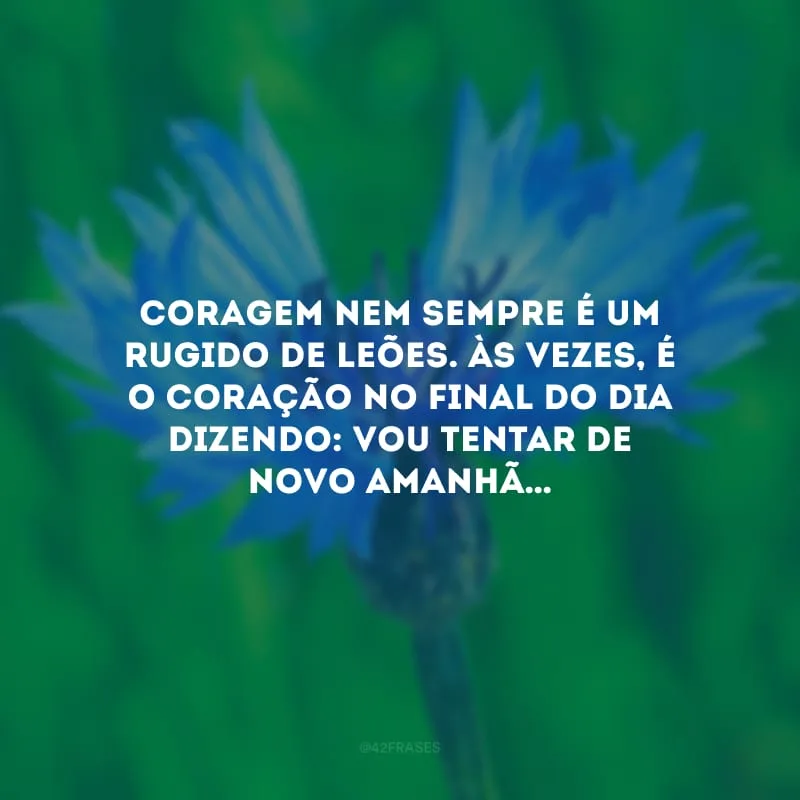 Coragem nem sempre é um rugido de leões. Às vezes, é o coração no final do dia dizendo: vou tentar de novo amanhã…