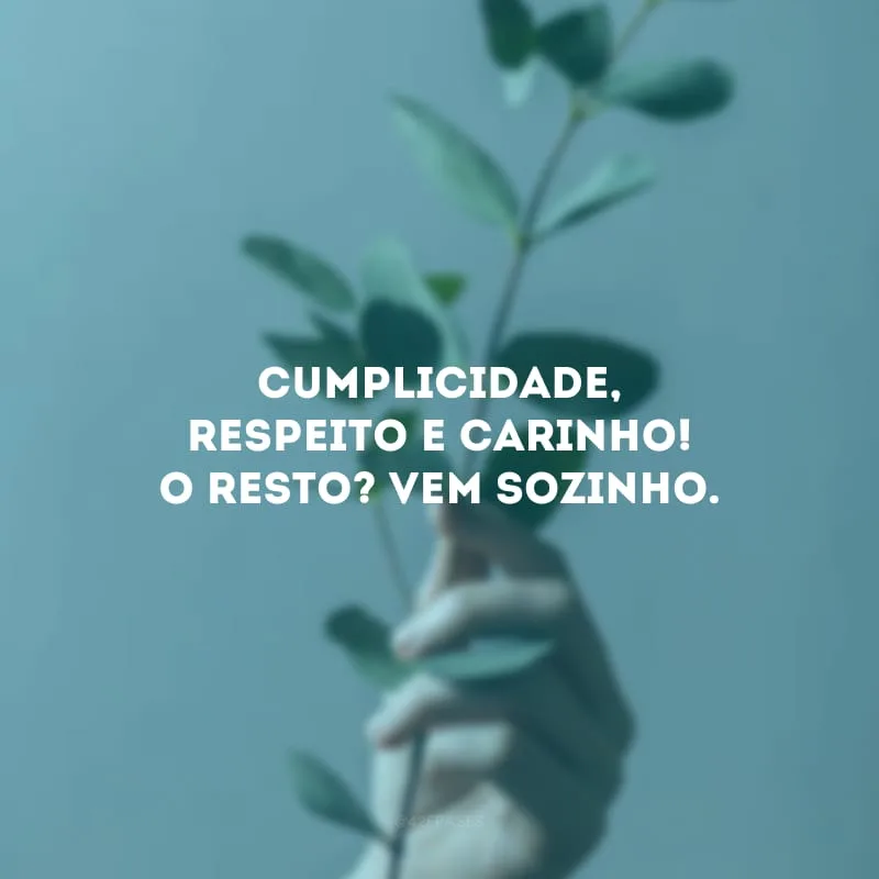 Cumplicidade, respeito e carinho! O resto? Vem sozinho. 