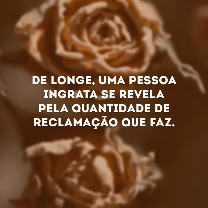 De longe, uma pessoa ingrata se revela pela quantidade de reclamação que faz.