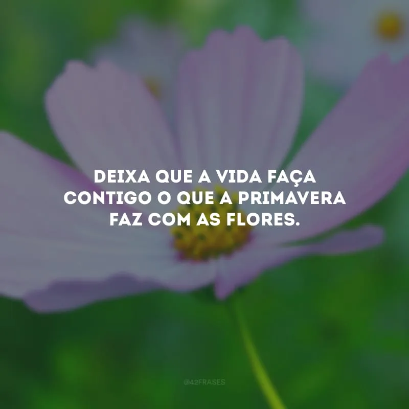 Deixa que a vida faça contigo o que a primavera faz com as flores.