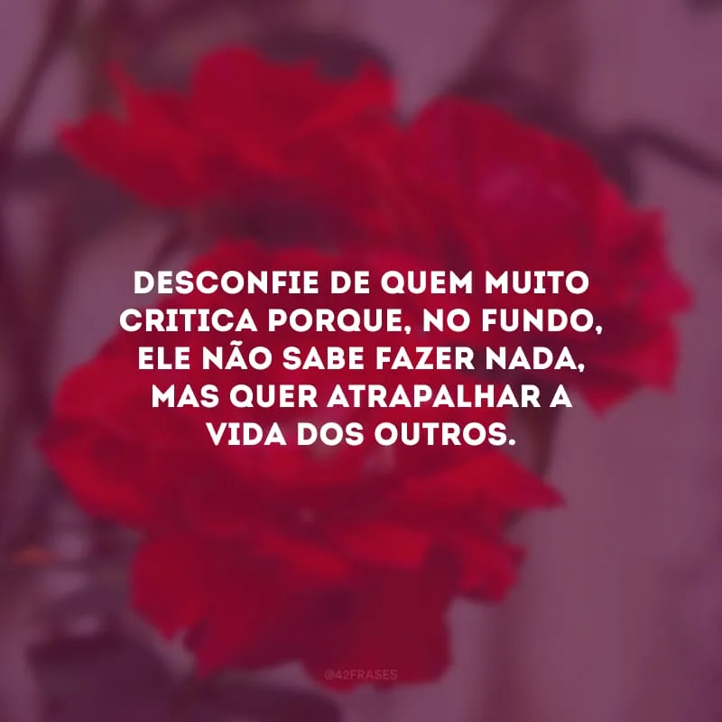 Desconfie de quem muito critica porque, no fundo, ele não sabe fazer nada, mas quer atrapalhar a vida dos outros.