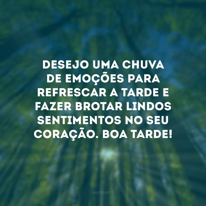 Desejo uma chuva de emoções para refrescar a tarde e fazer brotar lindos sentimentos no seu coração. Boa tarde!