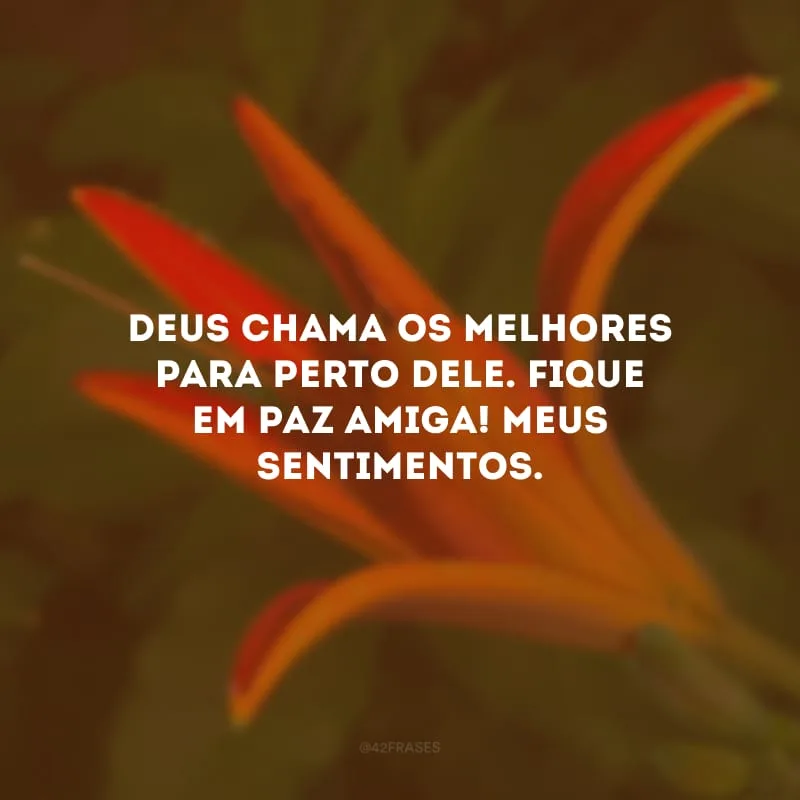 Deus chama os melhores para perto Dele. Fique em paz amiga! Meus sentimentos.