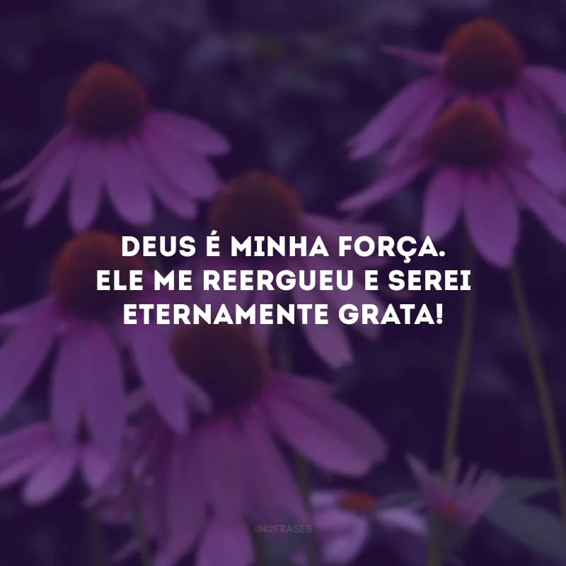 Deus é minha força. Ele me reergueu e serei eternamente grata!