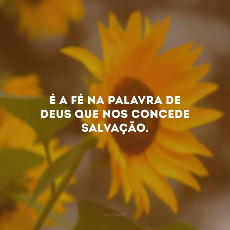 É a fé na palavra de Deus que nos concede salvação. 