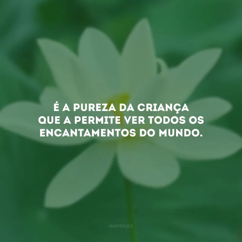 É a pureza da criança que a permite ver todos os encantamentos do mundo.