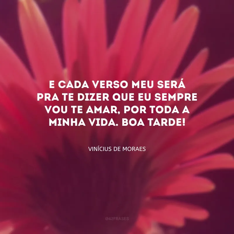 E cada verso meu será pra te dizer que eu sempre vou te amar, por toda a minha vida. Boa tarde!