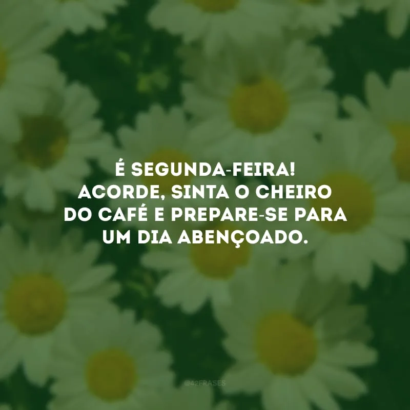 É segunda-feira! Acorde, sinta o cheiro do café e prepare-se para um dia abençoado.