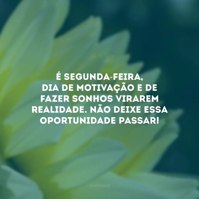É segunda-feira, dia de motivação e de fazer sonhos virarem realidade. Não deixe essa oportunidade passar!