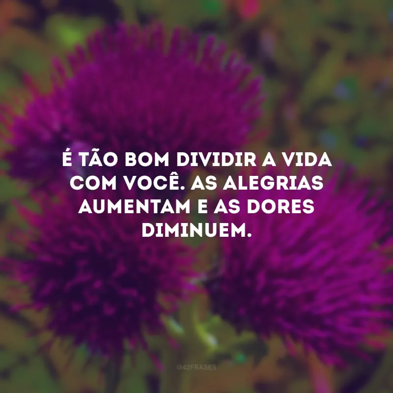 É tão bom dividir a vida com você. As alegrias aumentam e as dores diminuem.