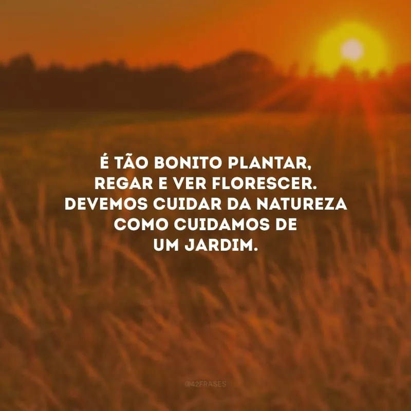 É tão bonito plantar, regar e ver florescer. Devemos cuidar da natureza como cuidamos de um jardim.

